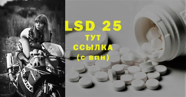 ECSTASY Белокуриха